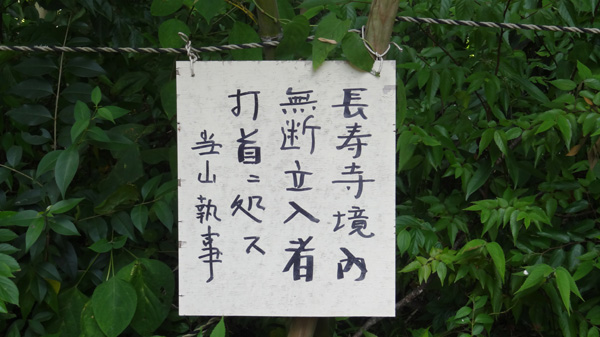新井家6