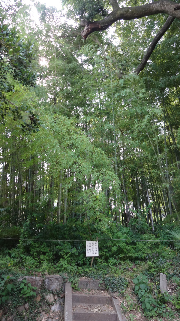 新井家5