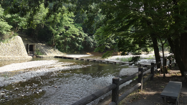 巾着田1
